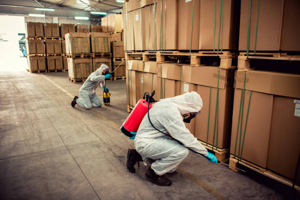 Flea Control Services in Mars, PA