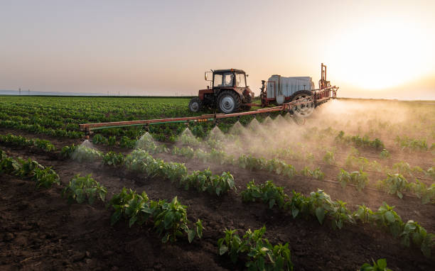 Reliable Mars, PA Pest Control Solutions