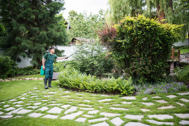Best Ant Control Services  in Mars, PA