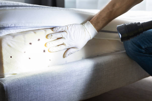 Best Pest Inspection Near Me  in Mars, PA