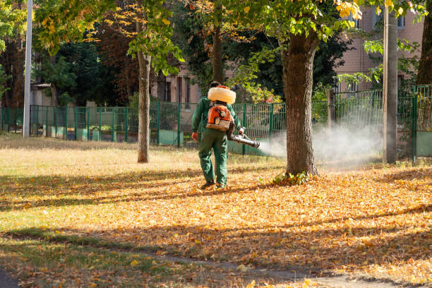 Best Flea Control Services  in Mars, PA