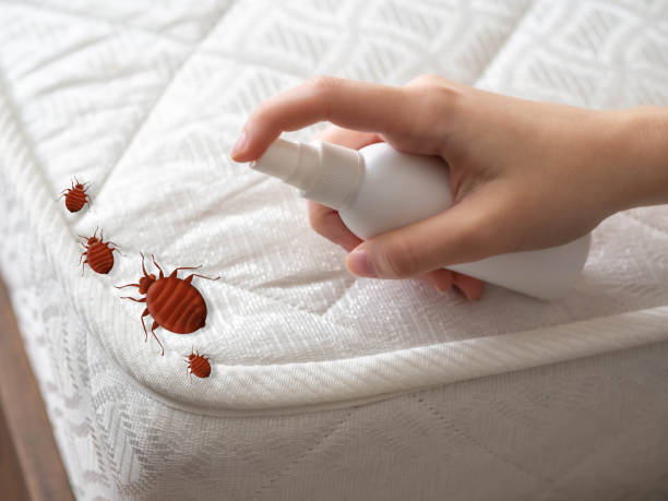 Best Residential Pest Control  in Mars, PA