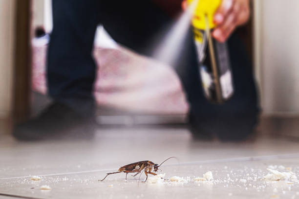 Best Pest Prevention Services  in Mars, PA