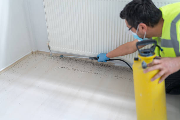 Best Local Pest Control Services  in Mars, PA